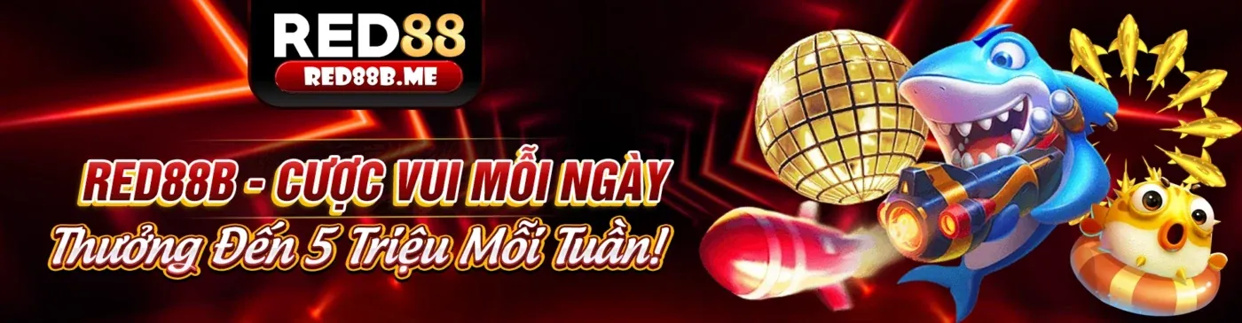 Tổng quan về điều khoản và điều kiện của Ga 67, minh bạch và rõ ràng