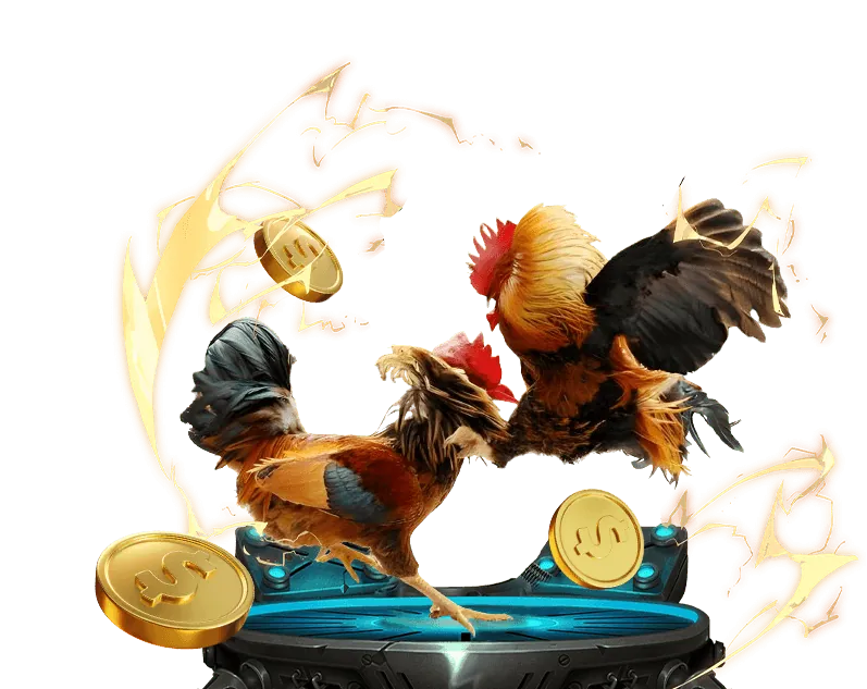 Chuyên gia tư vấn cá cược có trách nhiệm